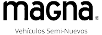 Magna Motors