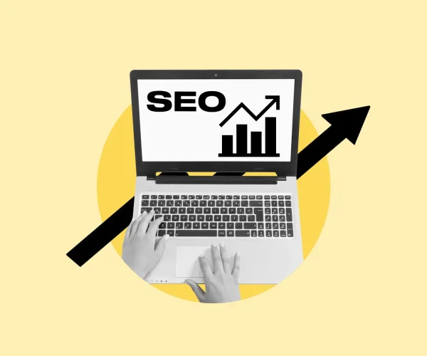 Experto SEO en Santo Domingo